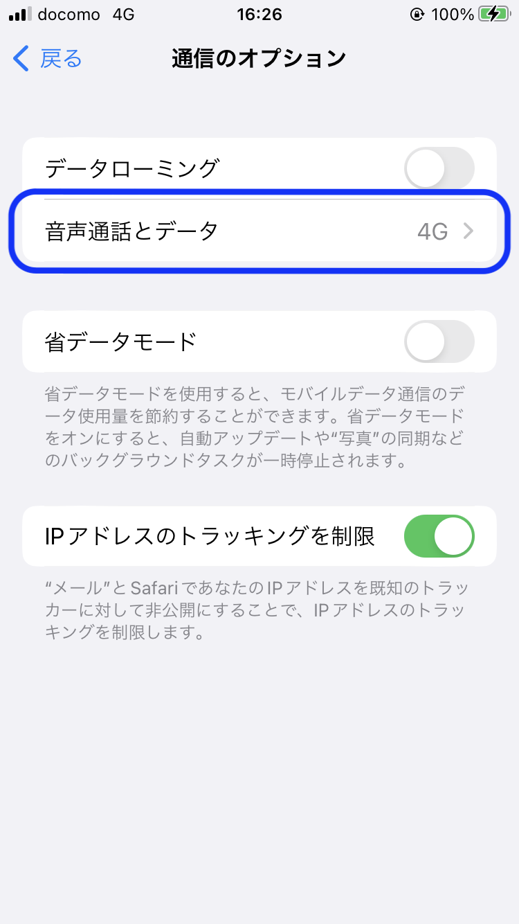 音声通話とデータ.PNG